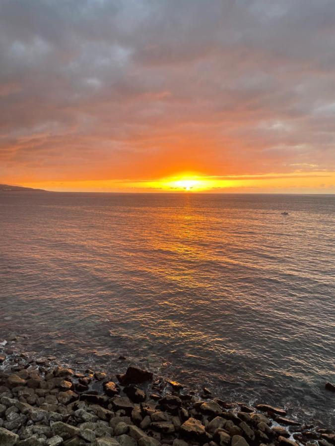 Perla'S House Studio With Incredible Sea View Puerto de la Cruz  Exteriör bild